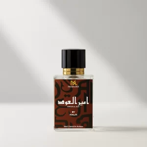 Ameer ul Oud 30ml